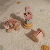 Ξύλινο σετ δώρου Fairy Garden FSC